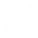 professional services