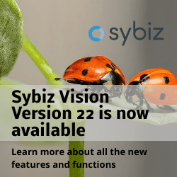 What is new in the Sybiz Vision Version 22?