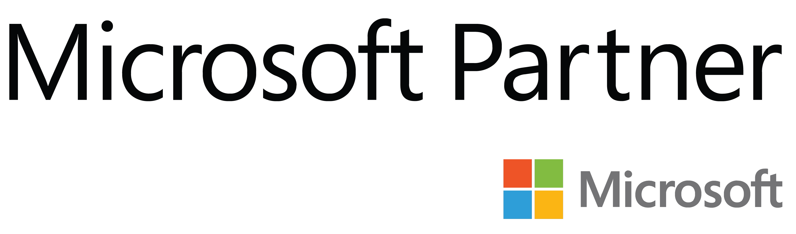 Microsoft Partner