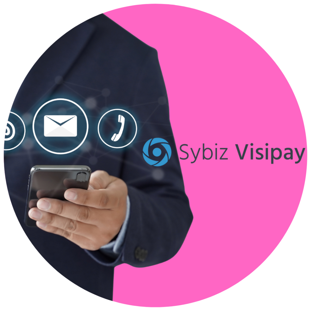 Copy of Sybiz Vision Support