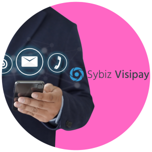 Copy of Sybiz Vision Support