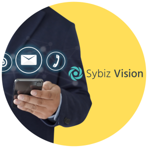 Sybiz Vision Support